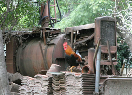 The old nicotine sprayer at Rubel Pharms.